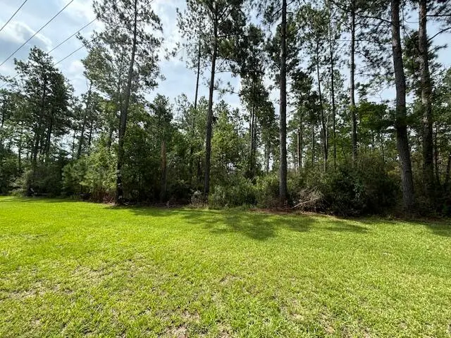 Jack Nelson Rd, Deridder, LA 70634 - Image #3