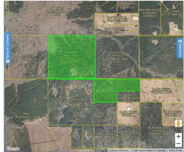 Hwy 389 And Van Winkle Rd, DeQuincy, LA 70663