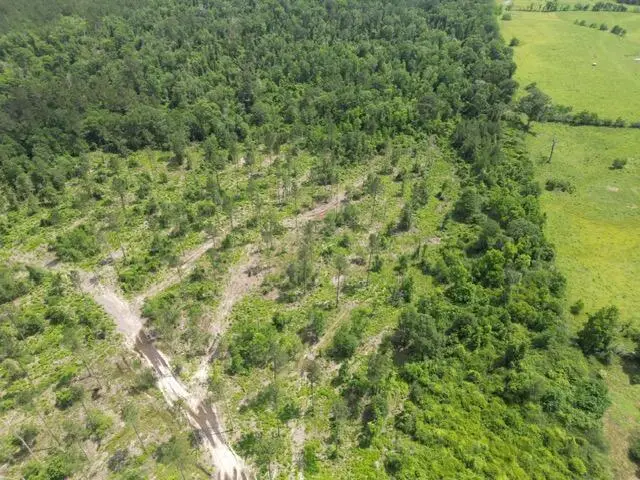 Claude Gill Rd, Leesville, LA 71446 - Image #1