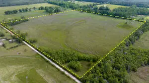 Tbd Neale Oilfield Road, Deridder, LA 70634 - #1
