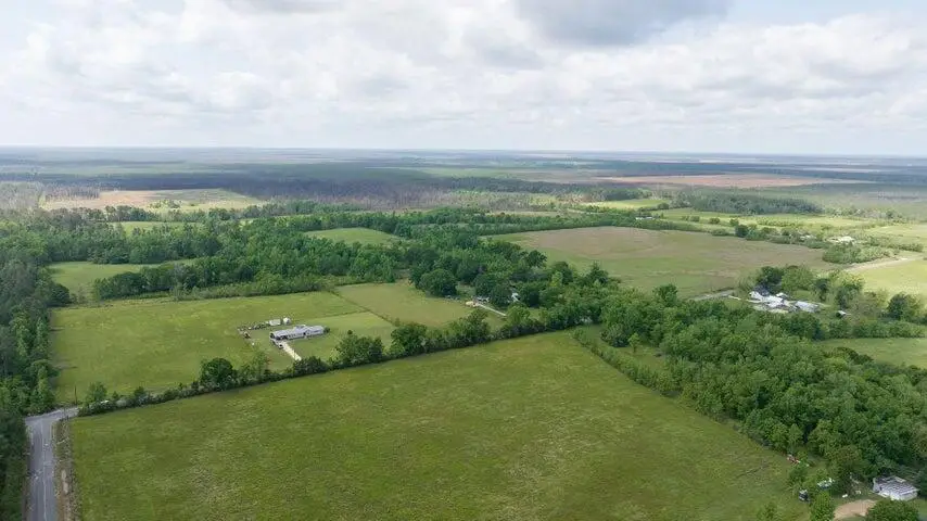 Tbd Neale Oilfield Road, Deridder, LA 70634 - #2