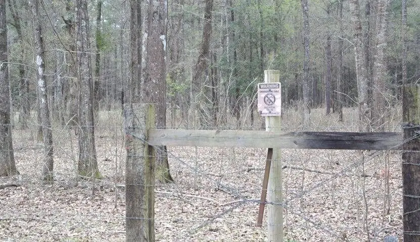 Sugar Bend Road, Pitkin, LA 70656 - Image #2