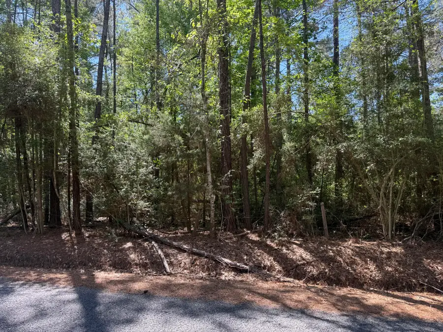 Tbd Hamp Jones, Merryville, LA 70653 - #3