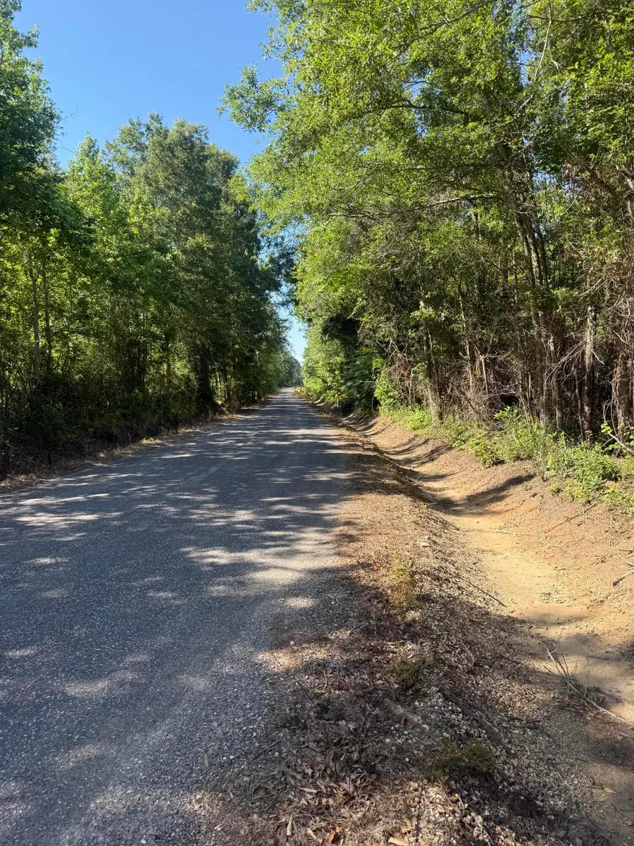 Clayton Parker Loop, Deridder, LA 70634 - #2