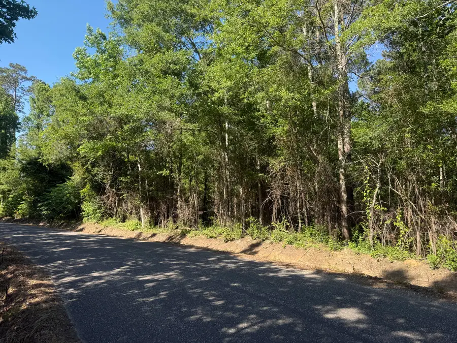 Clayton Parker Loop, Deridder, LA 70634 - #3