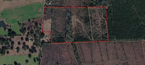 Tbd Vaughn, DeRidder, LA 70634