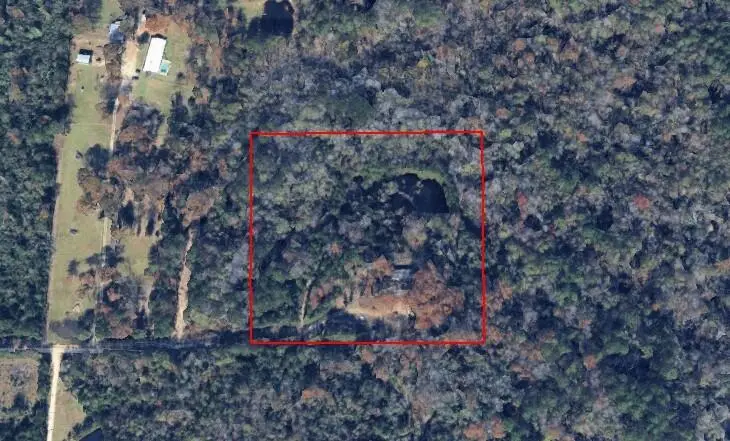 971 Bears, Deridder, LA 70634 - #2