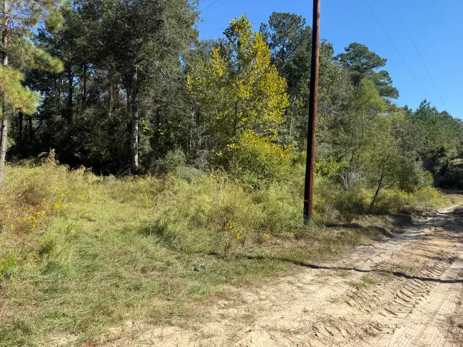 911 Bears Rd, Deridder, LA 70634 - #2