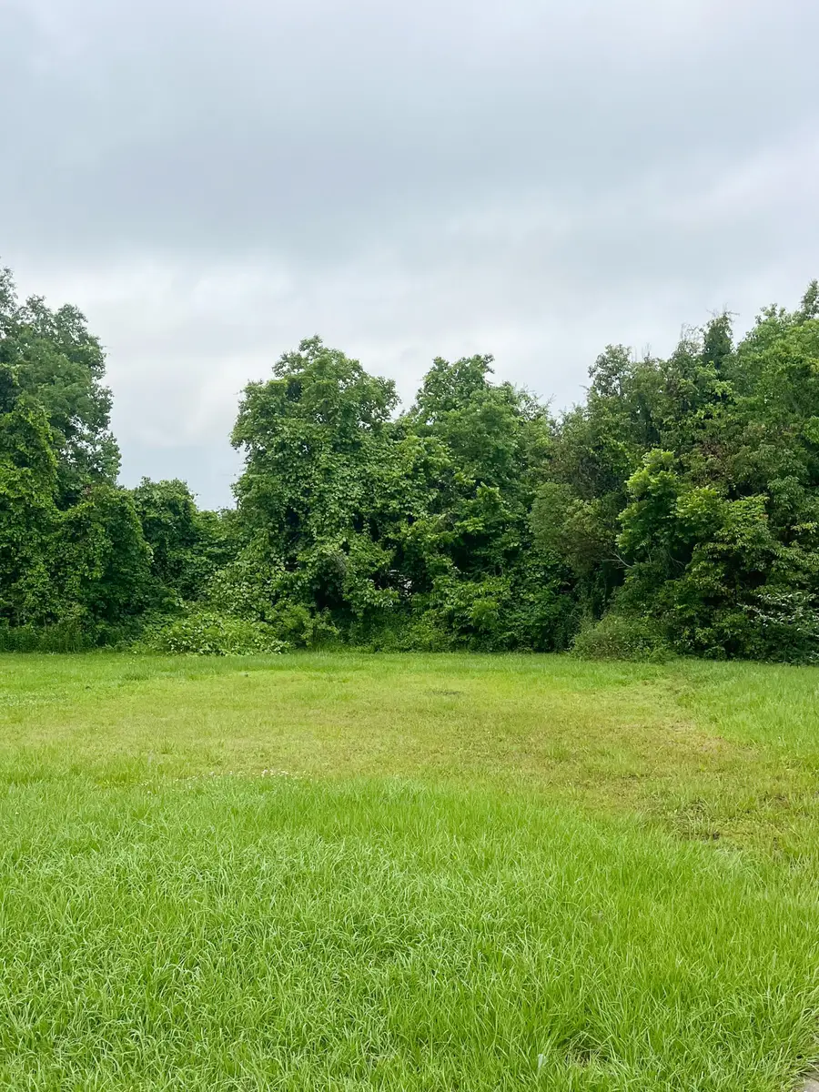 Libby St, Lake Charles, LA 70601 - Image #2