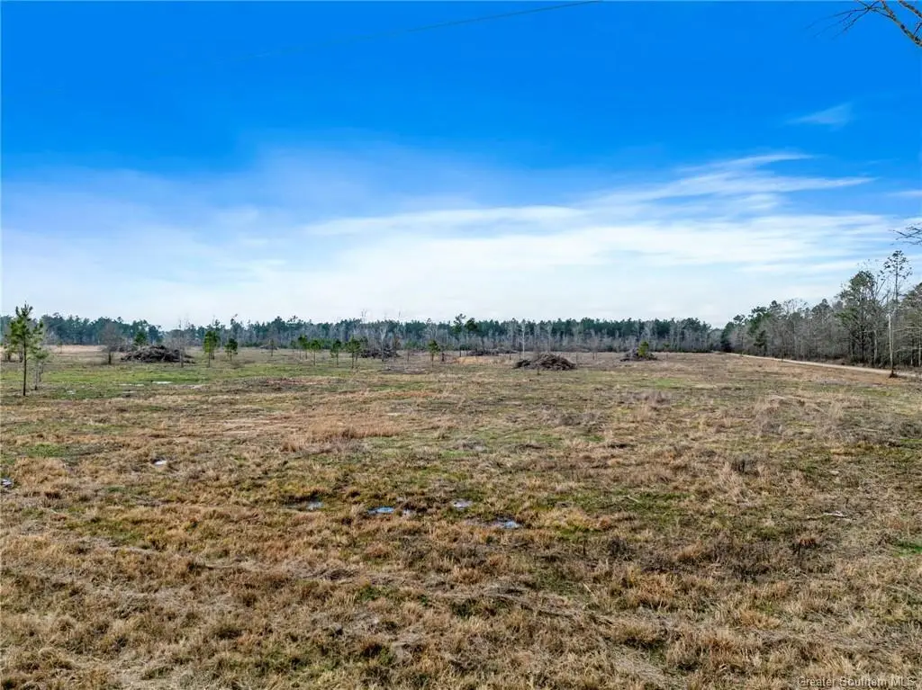 Conway Rosteet Rd, Longville, LA 70652 - #1