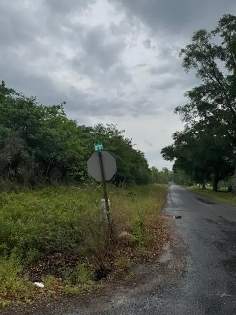 Shirley Loop, Deridder, LA 70634 - Image #3