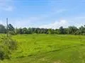 Jackson-gimnick Loop, Ragley, LA 70657 - #2
