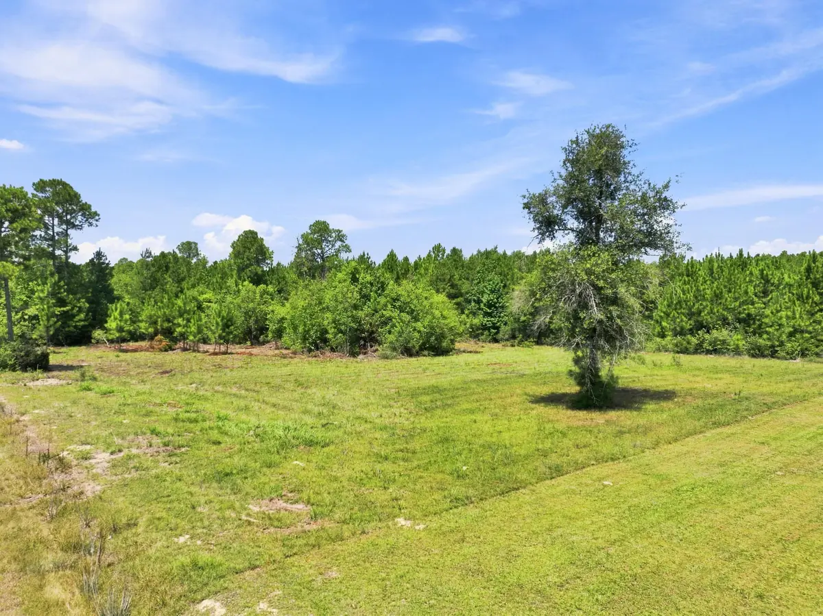 O'kelly Road Lot 1, Longville, LA 70652 - #1