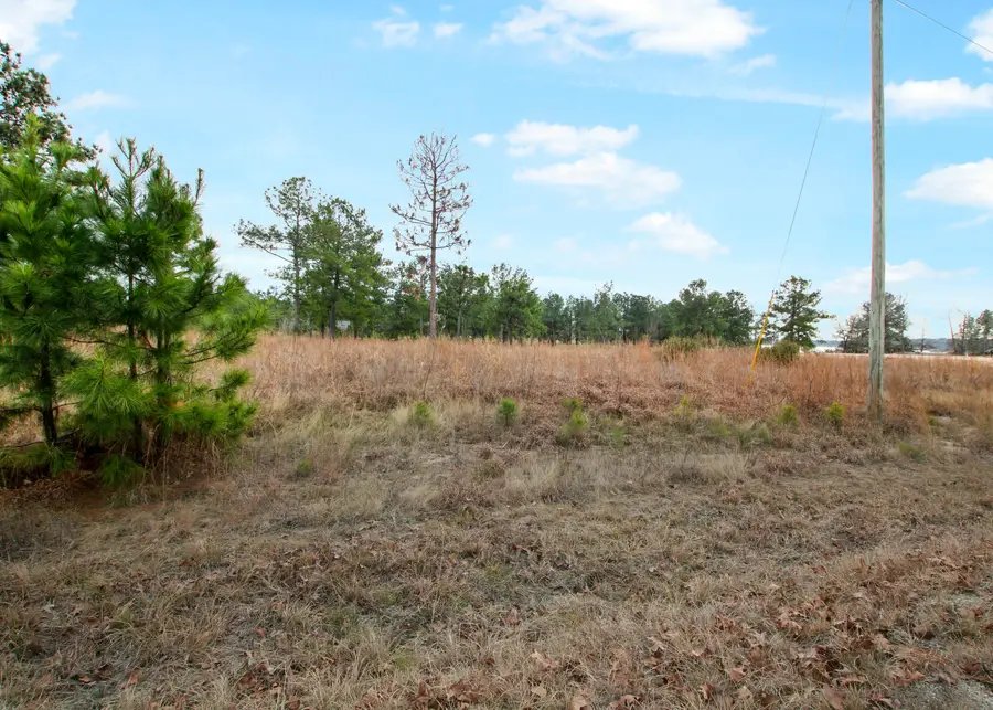 Norwood Lane, Anacoco, LA 71403 - Image #2