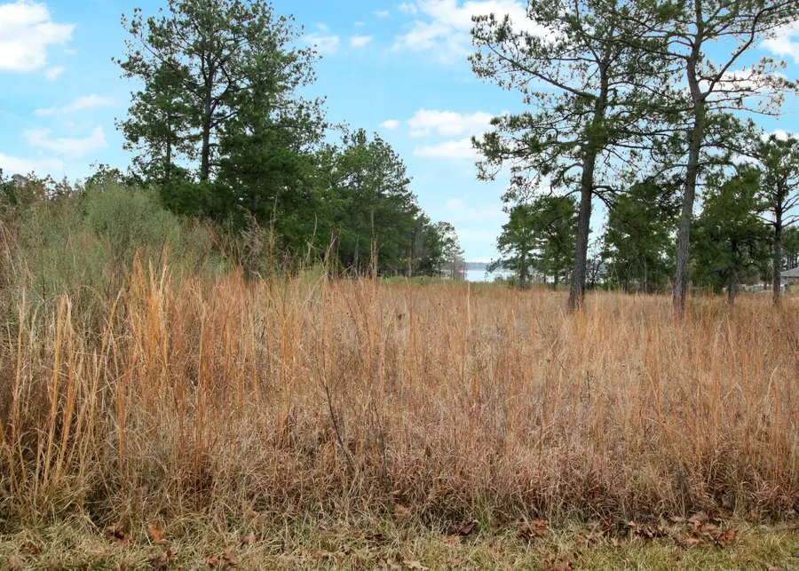 Norwood Lane, Anacoco, LA 71403 - Image #3