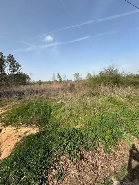 Baggett Rd, Deridder, LA 70634 - Image #3