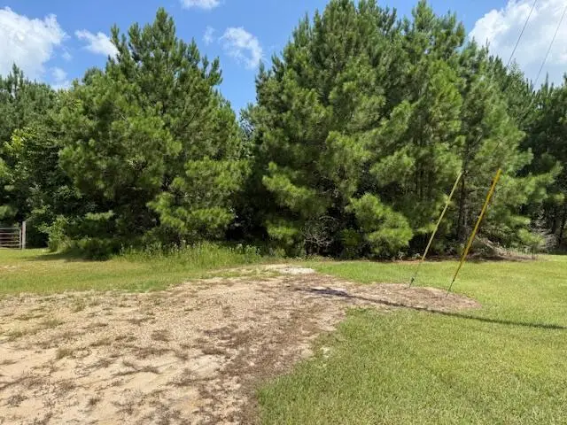 Veterans Ln, Leesville, LA 71446 - Image #2