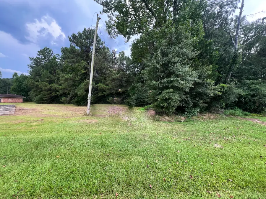 176 Hammond St, Hornbeck, LA 71439 - Image #3