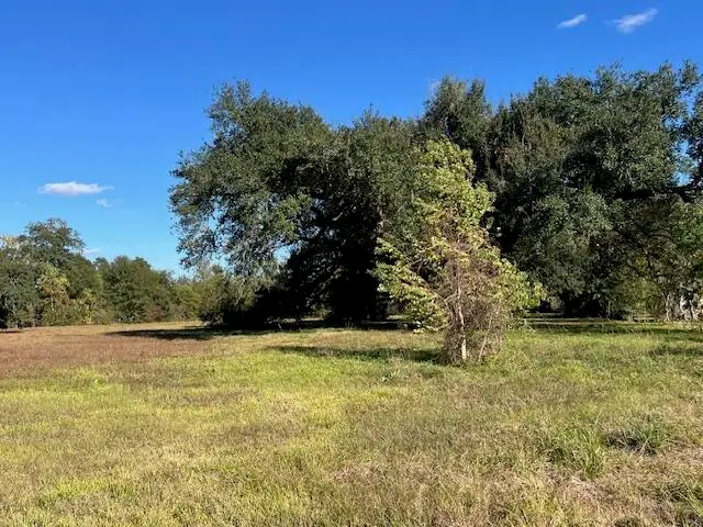 Perry St, Sulphur, LA 70663 - Image #2