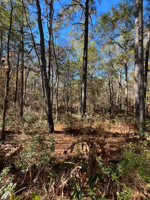 Delton Masters Rd, Provencal, LA 71468