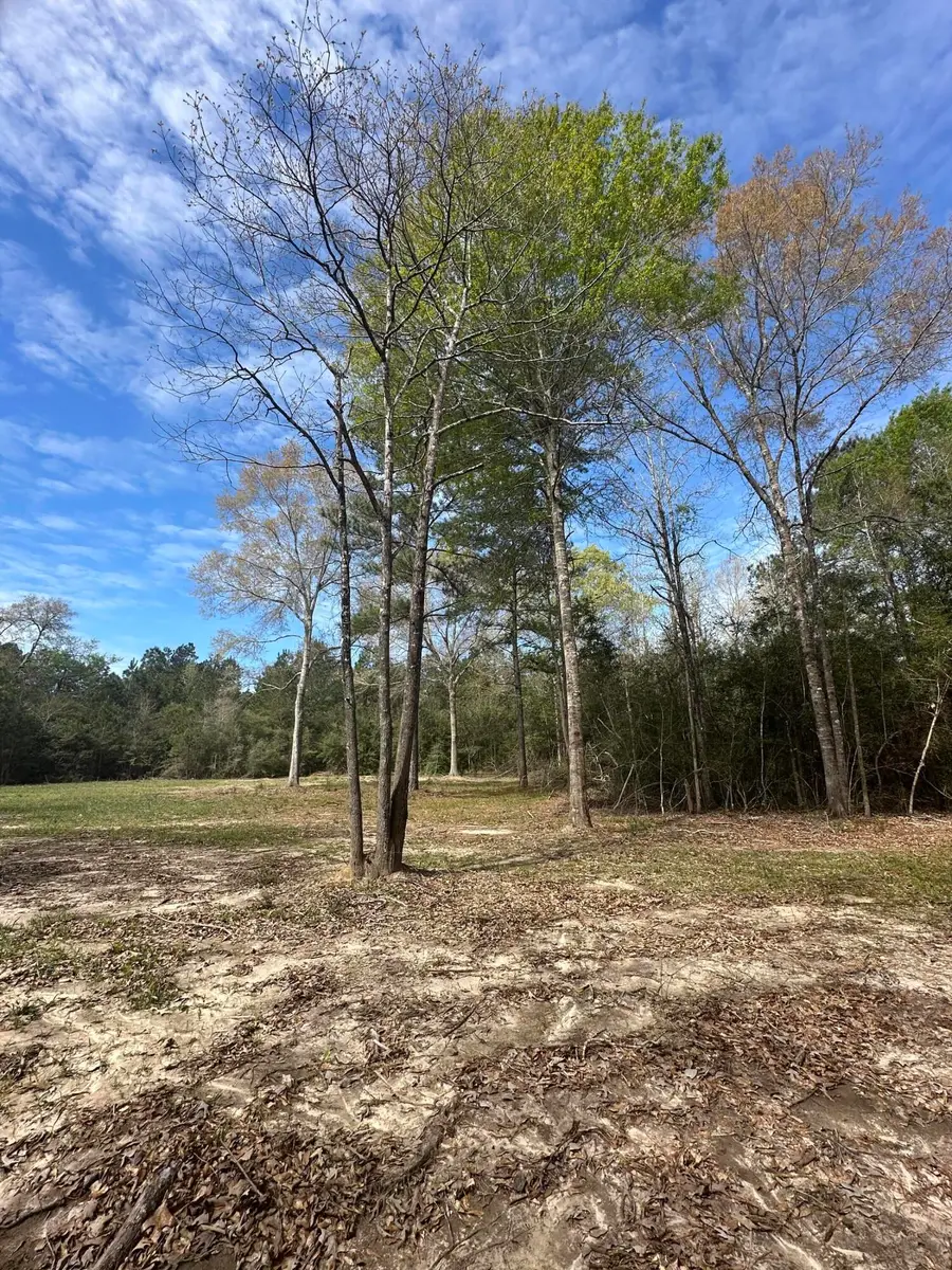 Stamps Rd, Merryville, LA 70653 - #3