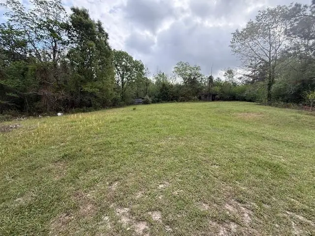 1366 White City, Hornbeck, LA 71439 - #3