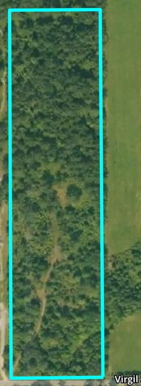 Virgil Sims Rd, DeRidder, LA 70634