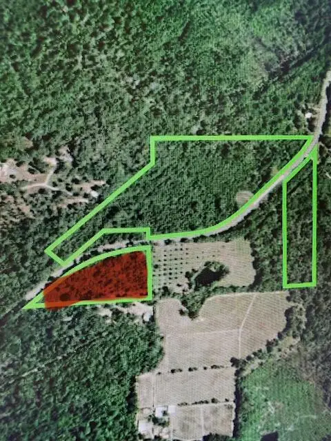 State Route 1146, Deridder, LA 70634 - #1