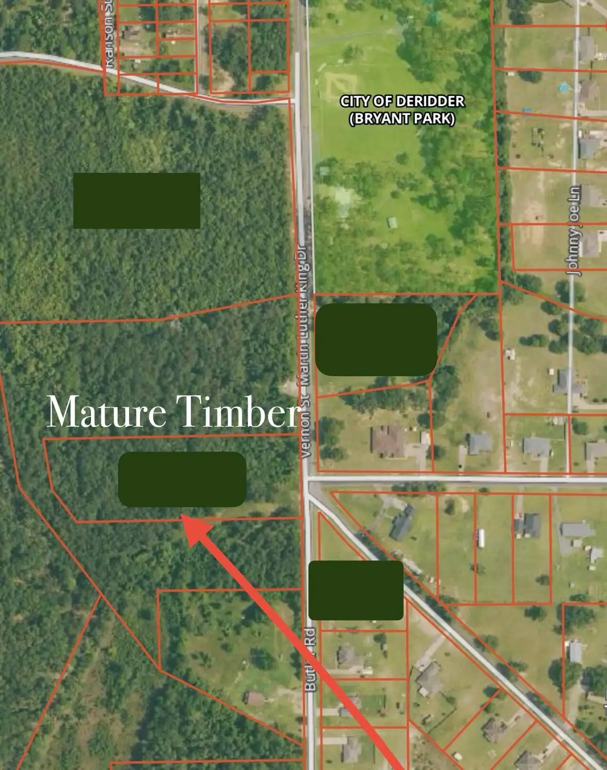 Martin Luther King (butler Rd), Deridder, LA 70634 - #1