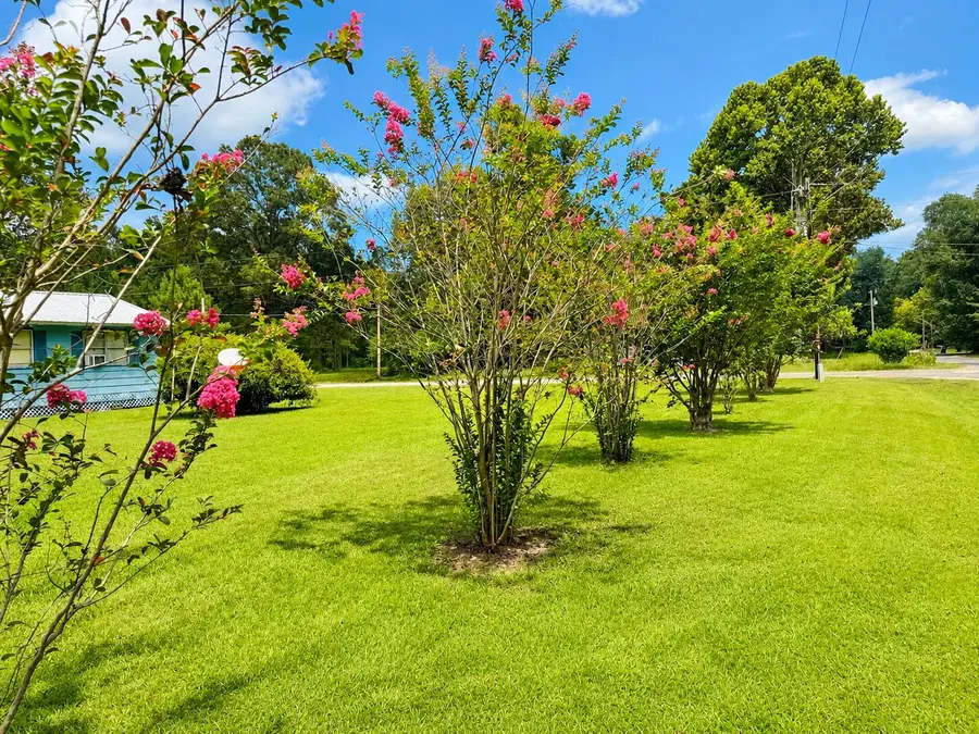 171 Colony, Anacoco, LA 71403 - #2