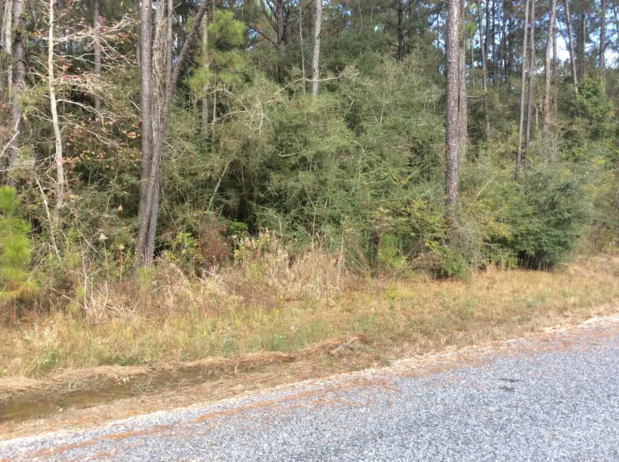 Earl Stokes Rd, Longville, LA 70652 - Image #2