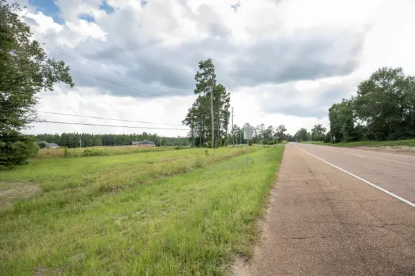 Tbd Hwy 8 & 464, Leesville, LA 71446