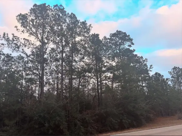 Tbd Chaffee Road, Leesville, LA 71446