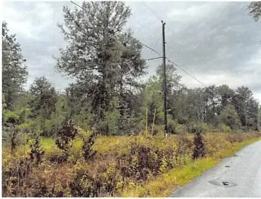 Tbd Roy Bridges Rd, Leesville, LA 71446