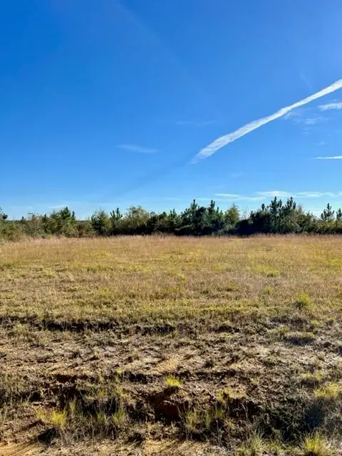 Elengton Rd, Tract 13, DeRidder, LA 70634