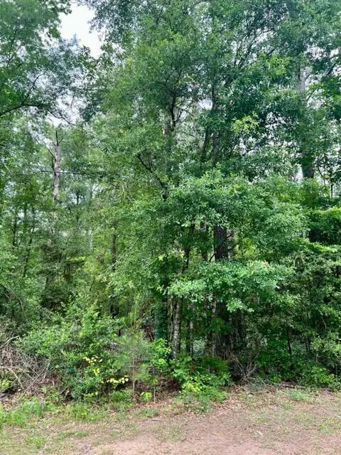 Tbd Jewell Mckellar Rd, Sugartown, LA 70662 - Image #2