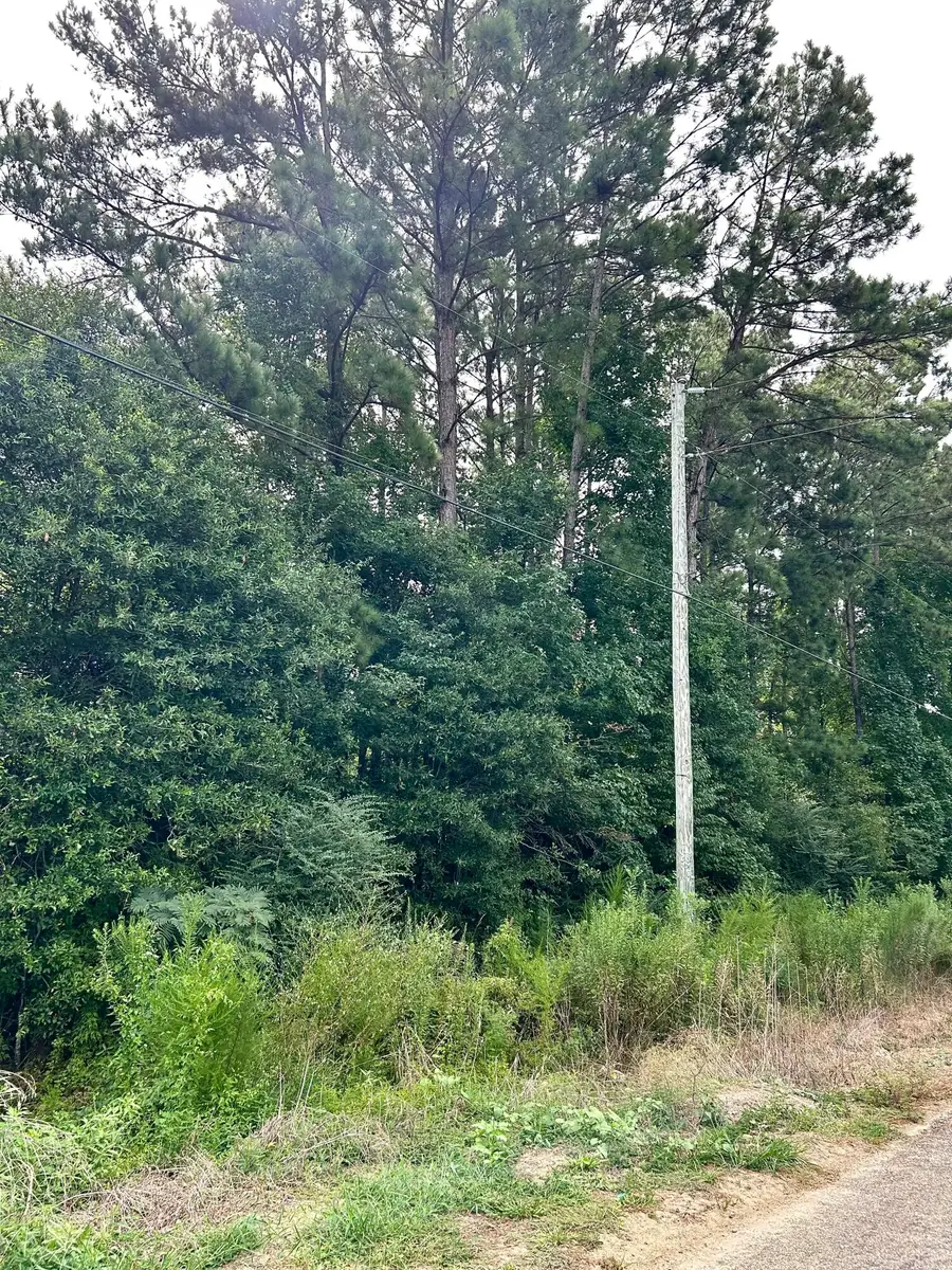 0 Virgil Sims Rd, Deridder, LA 70634 - #2