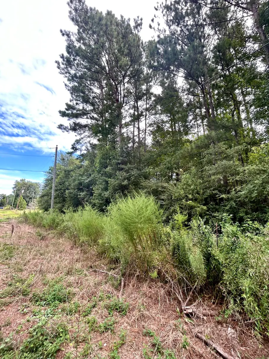 0 Virgil Sims Rd, Deridder, LA 70634 - #3