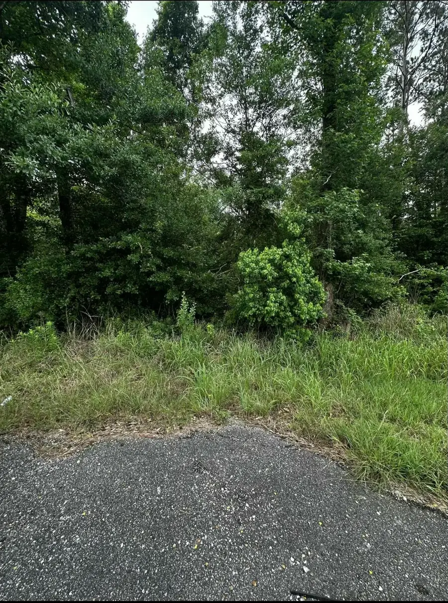 La-109, Starks, LA 70661 - Image #3