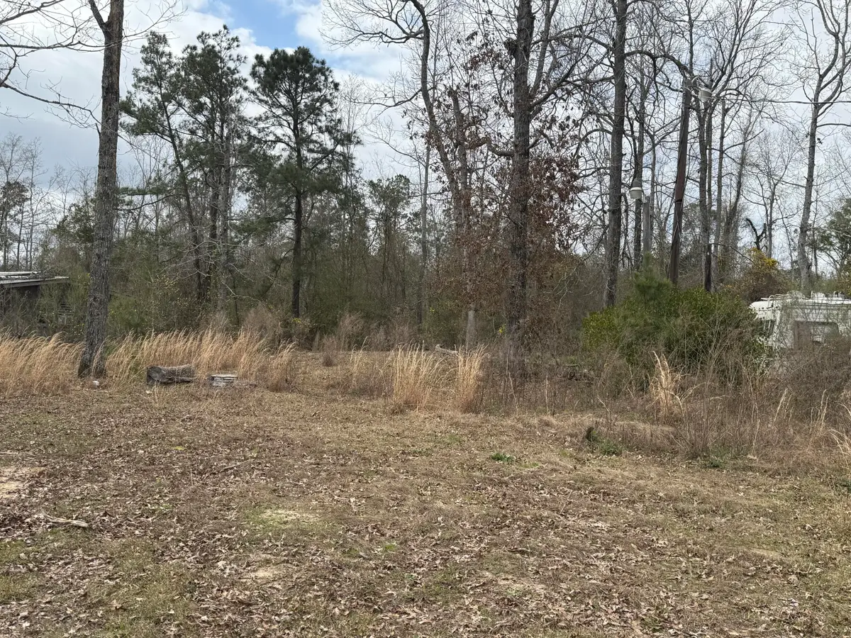 Lot 30, Dr Brown Rd, Deridder, LA 70633 - Image #1