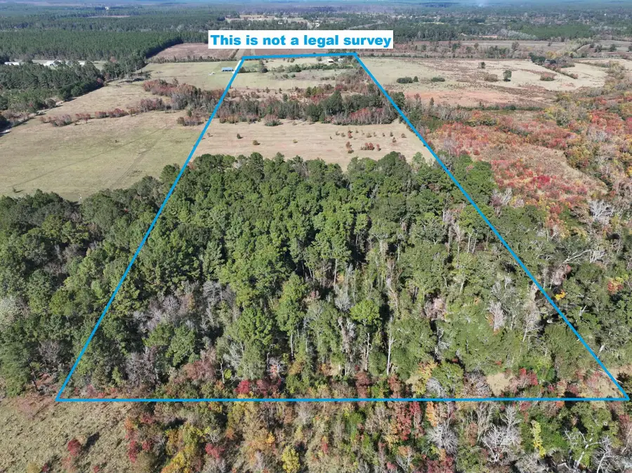 Bailey Rd, Leesville, LA 71446 - Image #3