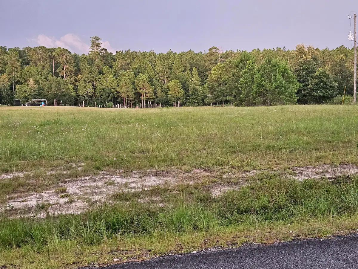 E Hawthorne Rd, Leesville, LA 71446 - Image #1