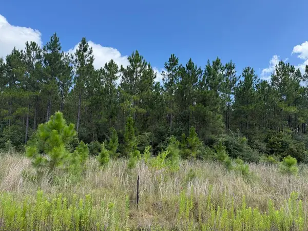 0 Plantation Trace, Longville, LA 70652