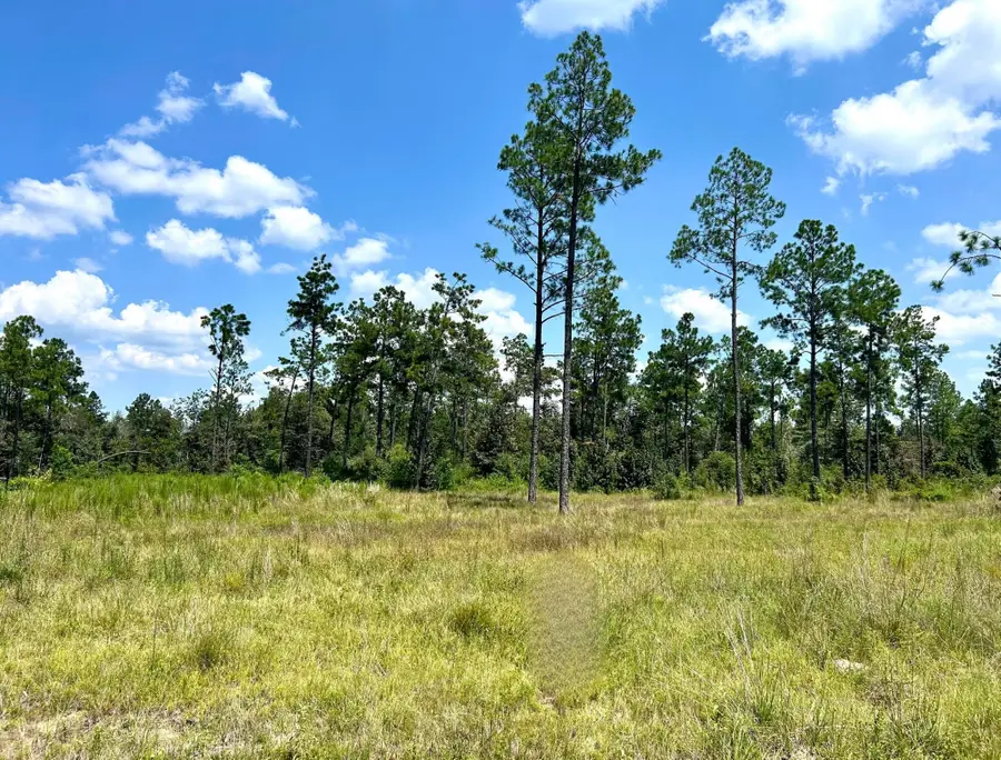 Sandy Loop Tract 2, Merryville, LA 70653 - Image #2