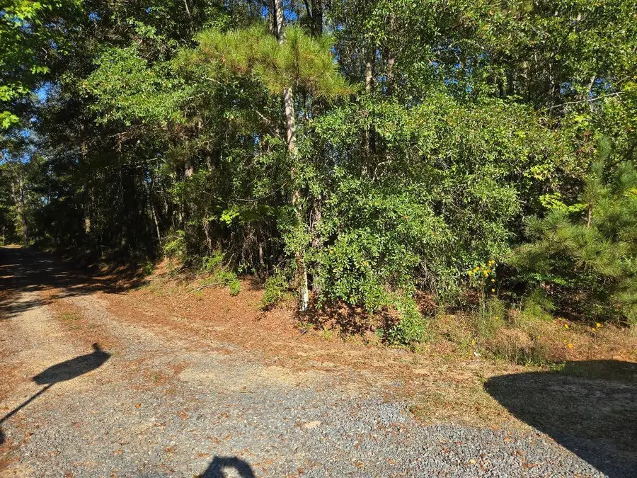 Tbd La- 184, Leesville, LA 71446 - Image #3