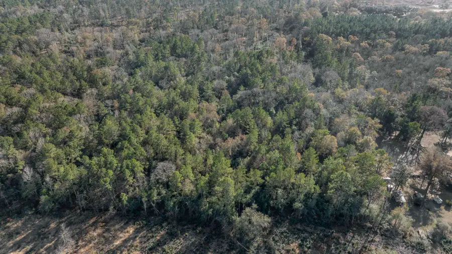 Caskey Rd, Mittie, LA 70654 - Image #2