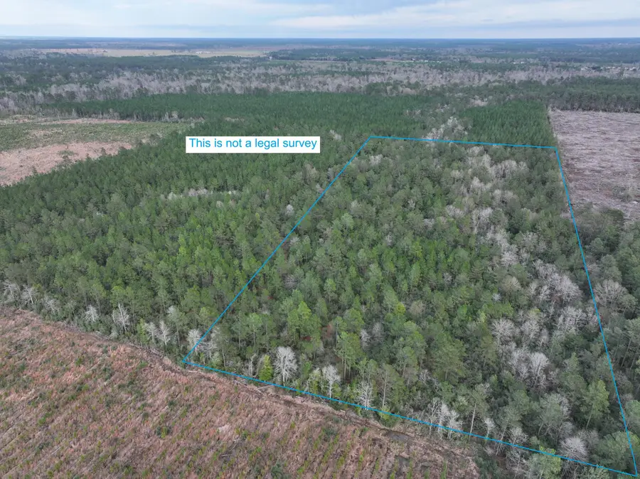 Us-171 S, Deridder, LA 70634 - Image #3