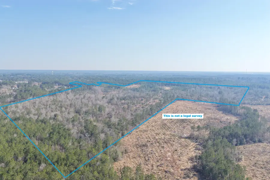 Eddlemon Rd, Leesville, LA 71446 - #3