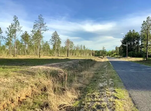 0 Sandy Loop Tract 4, Merryville, LA 70653