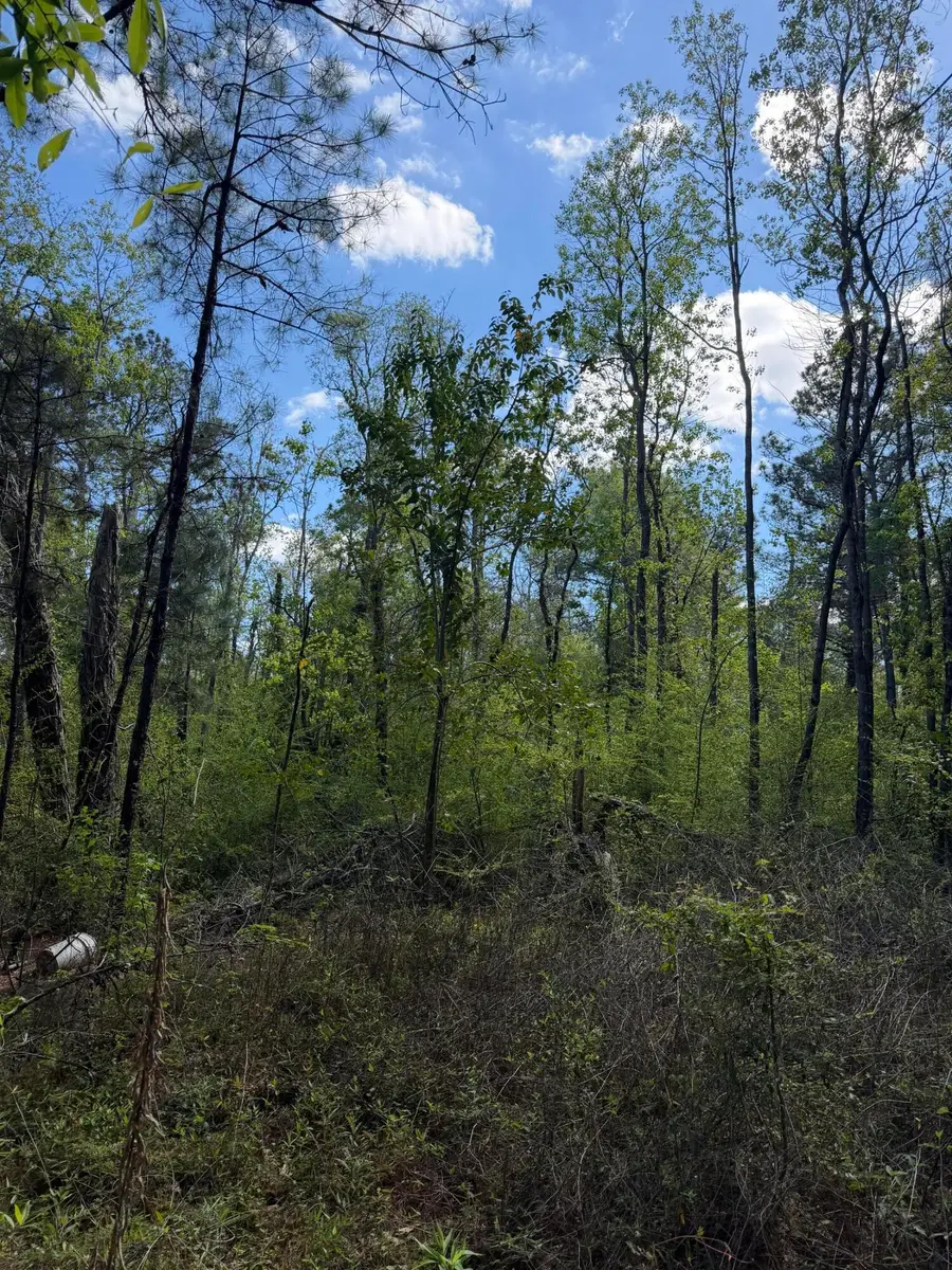 Us-190, Merryville, LA 70653 - #2